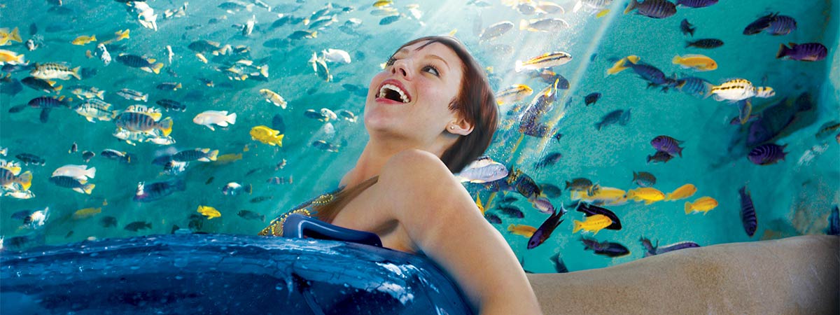 Orlando Florida Attraction  thumbnail