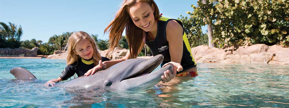 Orlando Florida Attraction  thumbnail