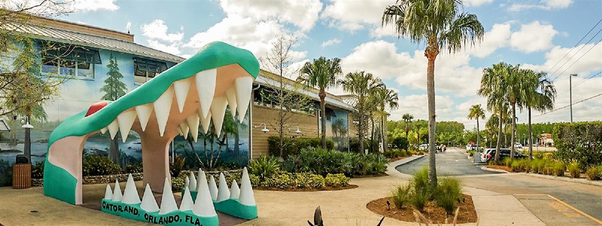 Orlando Florida Attraction  thumbnail